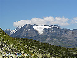 F026270: Risihorn: Rappehorn und Rappegletscher
