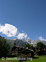 F026308: Weiler Egga in Bellwald