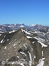 F026328: Hundshorn
