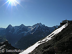 F026375: Eiger, Mönch, Jungfrau und Schilthorn (Piz Gloria)