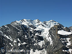 F026496: Hundshorn: Morgenhorn, Wyssi Frau, Blüemlisalphorn, Wildi Frau