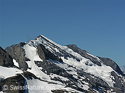 F026500: Doldenhorn und Doldenhorngletscher