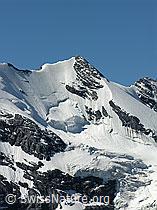 F026502: Wyssi Frau (Blüemlisalp) mit Hängegletscher