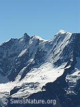 F026508: Hundshorn: Gletscherhorn und Äbeni Flue