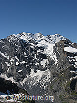 F026511: Hundshorn: Blüemlisalp, Berner Oberland