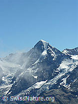 F026520: Hundshorn: Mönch, Eigergletscher, Guggigletscher