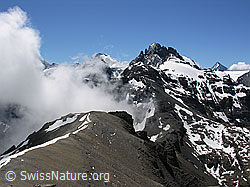 F026577: Hundsflue, Sefinenfurgge, Sefinenhorn, Büttlasse, Gspaltenhorn