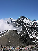 F026578: Hundsflue, Sefinenfurgge, Büttlasse, Gspaltenhorn