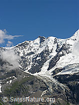 F026737: Gletscherhorn und Rottalgletscher