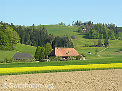 F027265: Kulturland und Bauernhof