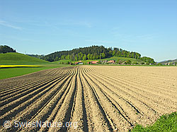 F027318: Ackerbauflächen