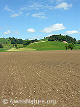 F027468: Acker