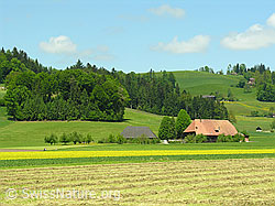 F027470: Felder und Bauernhof