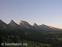 F028785: Churfirsten im Morgenlicht