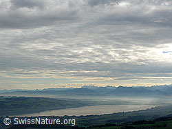 F029453: Luftaufnahme Luzerner Hinterland
