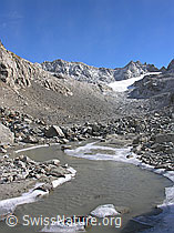 F030262: Schwemmebene und gefrorenes Ufer des Wasserlaufs