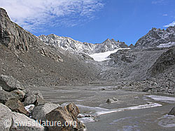 F030273: Schwemmebene Tälli, Binntal, Wallis