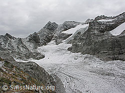 F030287: Tälligletscher mit leicht verschneitem Ofenhorn