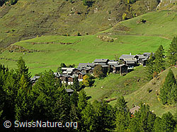 F030731: Bergdorf Imfeld, Binntal, Wallis