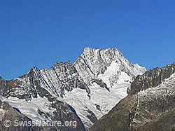 F030756: Sidelhorn: Lauteraarhorn und Schreckhorn