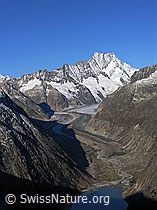 F030764: Grimselstausee mit Schwemmebene und Schreckhorn