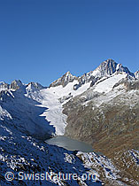 F030767: Oberaarsee, Oberaargletscher, Oberhaarhorn