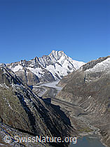F030769: Lauteraarhorn, Schreckhorn, Gletschervorfeld, Grimselsee