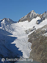 F030770: Oberaarhorn und Oberaargletscher mit Schattenbild eines Felsgrates