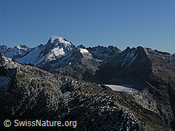 F030776: Sidelhorn: Tiefenstock, Galenstock, Furkahorn
