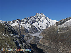 F030786: Sidelhorn: Unteraargletscher, Lauteraargletscher, Lauteraarhorn