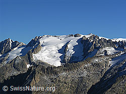 F030813: Diechterhorn, Diechterlimi, Diechtergletscher, Tieralplistock