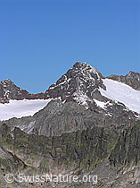 F030822: Sidelhorn: Steinlauihorn und Ärlengletscher