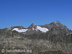 F030823: Golegghorn, Steinlauihorn, Ärlengletscher und Ritzlihorn