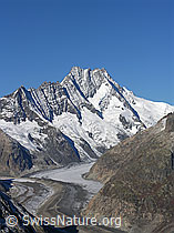 F030826: Unteraargletscher, Lauteraarhorn und Schreckhorn