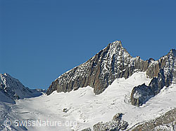 F030829: Sidelhorn: Oberaargletscher, Oberaarjoch und Oberaarhorn