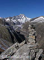 F030848: Sidelhorn: Steinmann, Unteraargletscher, Lauteraarhorn