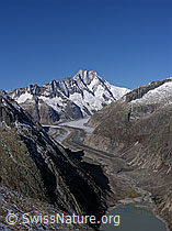 F030852: Sidelhorn: Grimselsee, Gletschervorfeld, Lauteraargletscher