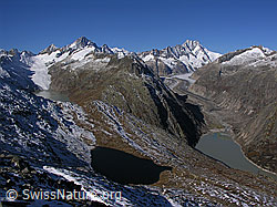 F030854: Sidelhorn: Oberaarsee, Triebtenseewli und Grimselsee