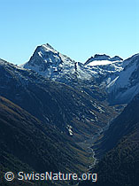 F030870: Geretal, Chüebodenhorn, Chüebodengletscher