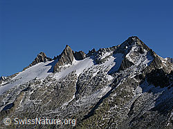 F030897: Sidelhorn: Gärstenhörner mit Gärstengletscher