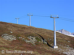 F030921: Skilift