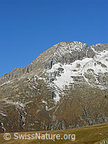 F030929: Grisighorn