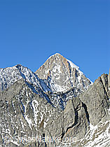 F030964: Nesthorn