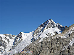 F030965: Kleines Aletschhorn und Aletschhorn