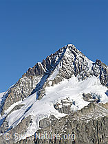 F030969: Sparrhorn: Aletschhorn