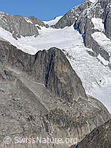 F030974: Distelberg