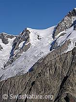 F030976: Kleines Aletschhorn