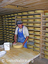 F031837: Älper im Käsespeicher