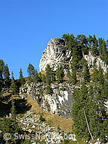 F032348: Bergwald und Felsstufen