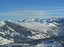 F032935: Innerschweizer Alpen und Nebelwalze bei Sörenberg